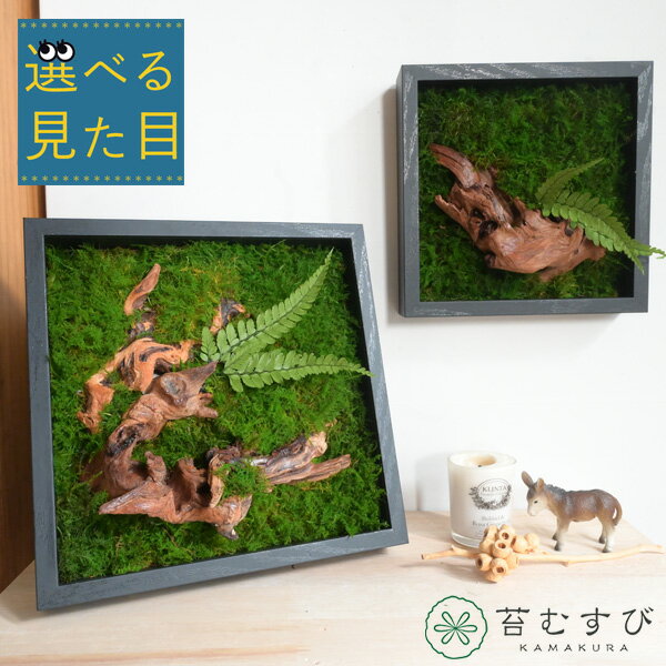 樂天商城 - 選べる見た目『 クラフトモス アートパネル 』苔 苔パネル アートフレーム アート 植物 プリザーブド加工 ナチュラル インテリア おしゃれ かっこいい 壁掛け スタンド式 ウォールデコ 壁 デコレーション 消臭 流木 黒 ブラック 木製 新築祝い 開店祝い プレゼント