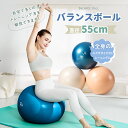 【クーポンで10%OFF】 母の日 父の日 バランスボール ヨガボール 55cm 抗菌 空気入れ アンチバースト フィットネスボール ジムボール トレーニング ...