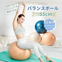 【クーポンで9%OFF】母の日 バランスボール ヨガボール 55cm 抗菌 空気入れ アンチバースト フィットネスボール ジムボール トレーニング エクササイズ...