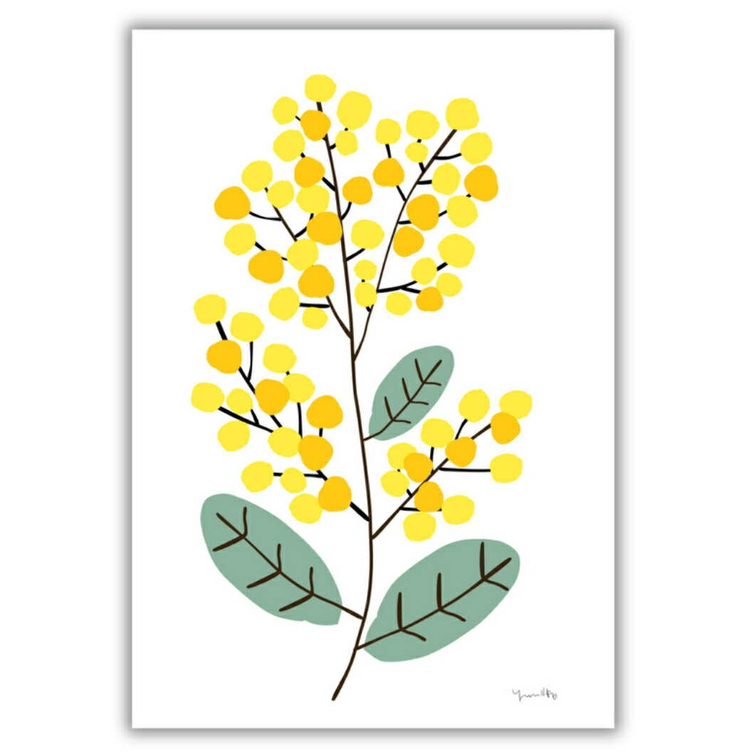「ミモザ」　ポスター　ポストカード　ミニポスター　はがき　インテリア　おしゃれ　かわいい　北欧　..