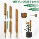 【6%OFFクーポン】3本セット ココスティック モンステラ 支柱 ココナッツ おしゃれ 園芸支柱 ポトス 植物支柱 ガーデン 蔓 花ささえ 連結 延長 木製 ...