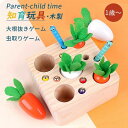 知育玩具 木のおもちゃ ひっつきむし 引っ付き虫 ひっつき虫 出産祝い 1歳 2歳 3歳 ハーフバースデー 虫釣り お誕生日 入園祝い 誕生日 プレゼント