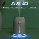 卓上家庭用 車内用 ミニ加湿器 多機能 USB加湿器 加湿 静音 ミスト量が多い