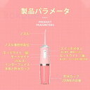 【専用4本ノズル特典付】2024最新モデル 口腔洗浄器 ジェットウォッシャー 携帯 充電式 3つモード 4ノズル 口腔洗浄機 220ML 携帯型 歯間ジェット ...