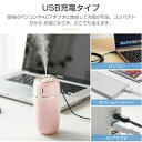 300ml 次亜塩素酸水対応 持ち運び エコ 節電 省エネ 静音 車載用 LEDライト付き 給電式 USB 大容量 おしゃれ 加湿器 小型 卓上