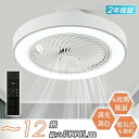 シーリングファンライト 軽量 おしゃれ led シーリングライト dcモーター 8畳 10畳 12畳 調光調色(2)