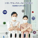 小型 携帯用 空気清浄機 首かけ マイナスイオン ネックレス イオン発生器 usb充電式 除菌 脱臭 消臭