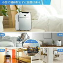小型 ミニ 20L 家用 車載 ひとり 暮らし 一人暮らし 両用 小さい コンパクト パーソナル 冷温庫 お一人様サイズ