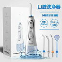 USB充電式 300ml 5階段水圧調節 洗浄 歯間ジェット 口内洗浄 強弱切り替え ジェットウォッシャー 口腔洗浄機