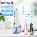 口腔ケア 水流ケア 水流洗浄 超音波水流 大容量 300MLタンク IPX7防水 USB充電式 口腔洗浄機