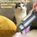車用掃除機 ペット用 小型掃除機 ハンディー掃除機 コードレス掃除機 ハンディクリーナー ミニ掃除機