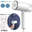 掛けたまま 折畳み 家庭用 出張 シワ ハンディーアイロン アイロン 衣類アイロン スチームアイロン おりたたみ