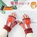 レディース 防寒手袋 ヒーターグローブ 発熱 防水 防風 保温 長時間作動 防寒対策 即暖 省エネ 耐風撥水