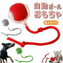 ペット用 留守番 光るボール 電動ボール 自動 玩具 ボール ローリング ウイルス チューイ おもちゃ 電動 動く 自動 ボール