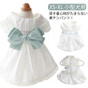 ドッグウェア 犬服 犬用ウェア ペットウェア スカート ワンピース ドレス フリル レース リボン 春用 夏用 犬服