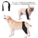 膝サポーター ショット 犬用介護用品 ペット用品 歩行補助 ケア用品 後ろ足 前足 犬骨折治療 老犬介護