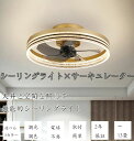 薄型 軽量 おしゃれ シーリングファン DC 暖房器具 シーリングライト サーキュレーター