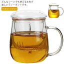 ティーポット 急須 透明 紅茶ポット 350ml/500ml 大容量 茶こし付き 直火可 フルーツティー リーフティー 花茶(3)