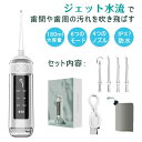 プラーク 歯垢 口臭 歯周病 虫歯 口内洗浄 歯ブラシ ジェットウォッシャー 口腔洗浄器