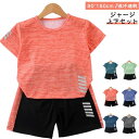 セットアップ トレーニングウェア スポーツウェア 吸汗速乾 【送料無料】 女の子 上下 子供用 110 ランニングウェア