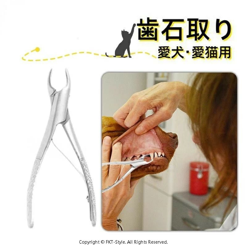 プロも愛用 猫 ホームケア デンタルケア 歯石 犬 ペンチ 歯石取り