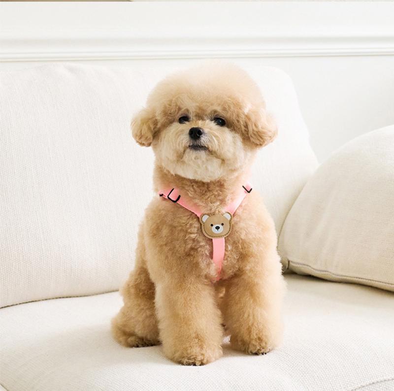 Full Wigs （Male） - ピンク 首輪 オレンジ スカイブルー L XL(x2) イエロー ビション テディ ペット S 犬 M 小型犬 リード 布製 ドッグチェーン コギー ハーネス 猫 ベージュ 幼犬