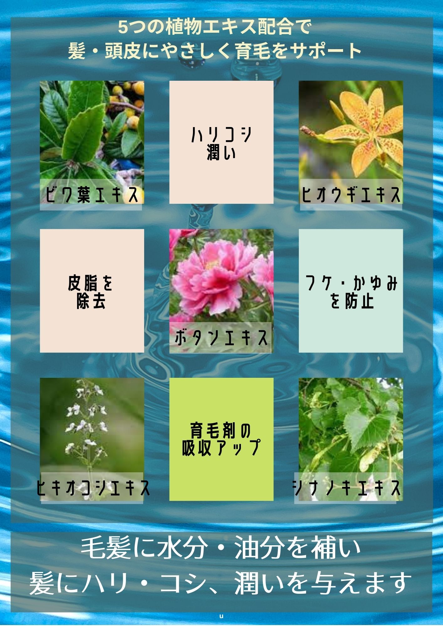 髪と頭皮に着目 男 女 兼用 ノンシリコンアミノ酸シャンプー アミノ酸シャンプー スカルプシャンプー オールインワンシャンプー シャンプー メンズ 女性 育毛シャンプー 薄毛 ケア 季節のおすすめ商品 Ss 抜け毛 Sd ノンシリコンシャンプー Rsl 薬用 医薬部外品 フケ