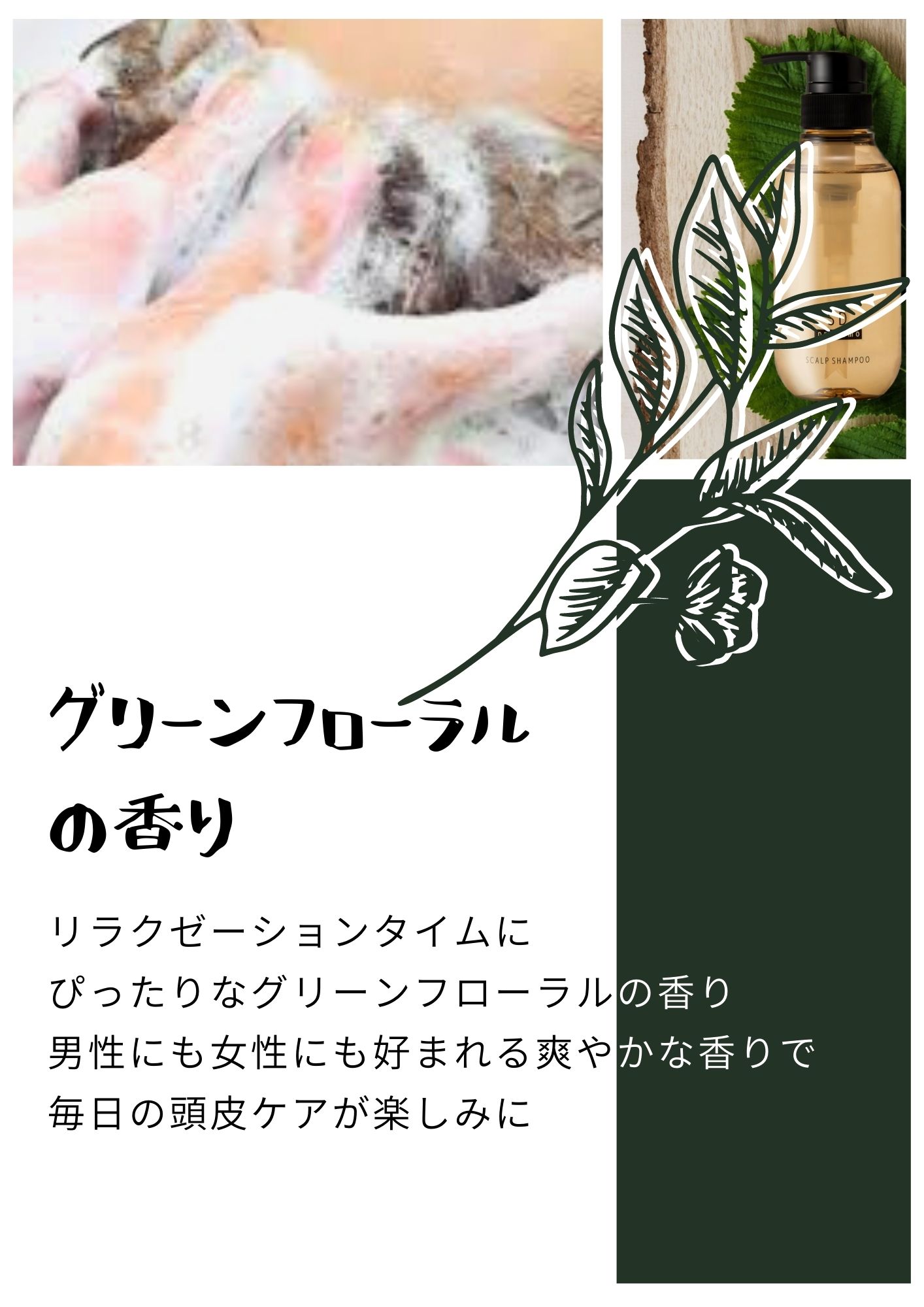 髪と頭皮に着目 男 女 兼用 ノンシリコンアミノ酸シャンプー アミノ酸シャンプー スカルプシャンプー オールインワンシャンプー シャンプー メンズ 女性 育毛シャンプー 薄毛 ケア 季節のおすすめ商品 Ss 抜け毛 Sd ノンシリコンシャンプー Rsl 薬用 医薬部外品 フケ