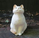 見上げねこ(白茶)/メーカー取り寄せ/羽田桂子(サバイディ)