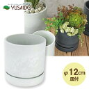 ◆LEAD STYLE シリンドゥリカルポット LSP-52023 4号植替サイズ ホワイトインテリア 室内 植木 鉢 おしゃれ かっこいい 皿 付 受皿 鉢皿 セット モノトーン 黒 白 シック シンプル プラスチック 割れない 軽い 観葉 グリーン 植物 多肉 塊根