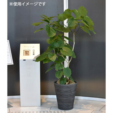 ◆ LEAD STYLE 鉢カバー EGPL4045CH エコフレンドリーポット キャスター付 チャコール 10号鉢(尺鉢)用