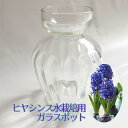 【ポイント5倍】ヒヤシンス ガラスポット球根 水栽培 水耕栽培 ガラス 花瓶 ポット 専用容器 ヒヤシンス ガラス ガーデニング 水栽培 かんたん アロマ 香り 花 栽培 ポット 水耕