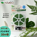 ジャステム バンドタイ 30m 洋ラン LG-30ビニタイ ビニールタイ 結束 バンド 緑 カッター付 添木 垣根 整枝 口止め 支柱 支え 茎 枝 枝もの ガーデニング 園芸 プランター 鉢植え 植木鉢 庭 畑 花壇 使い易い 手芸 園芸用品 まとめる グリーン