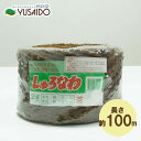 棕櫚縄 100m 茶