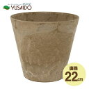 GREENPOT A[gXg[ Eh|bg a22cm g[v AS-110907