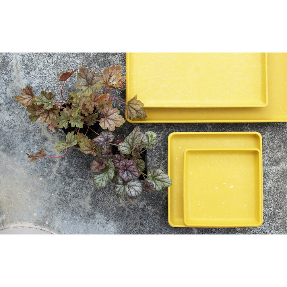 ȬȨ���� gerdens �ѥԥ� �����ץ졼�ȳѷ� 120�� �ޥ������� MD����� ������ ����ȭ ������� ȭ ���襤�� �ʥ����� �ڤ� �ץ�󥿡� �����ǥ˥� ���