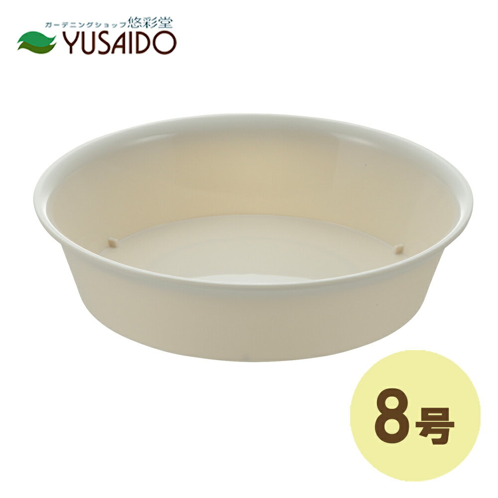 リッチェル フォーレ プレート 8号 ホワイト(W)