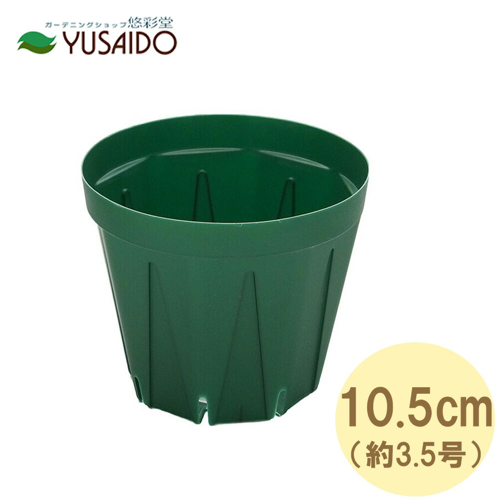 ͪƲ㤨ַ凉åȭ 10.5cm 3.5 ⥹꡼ CSM-105 ͥ åȭ ץ󥿡   Ϥȭ ǥ˥  ӿ ̵  ĥ  ȭ տʪ  ¿   פβǤʤ29ߤˤʤޤ