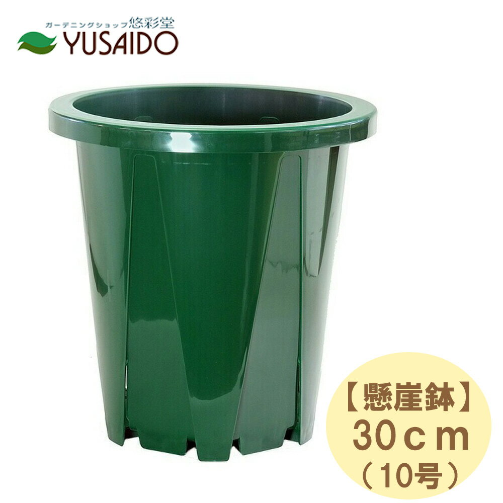 兼弥スリット鉢 懸崖鉢 30cm 10号 CSK-3