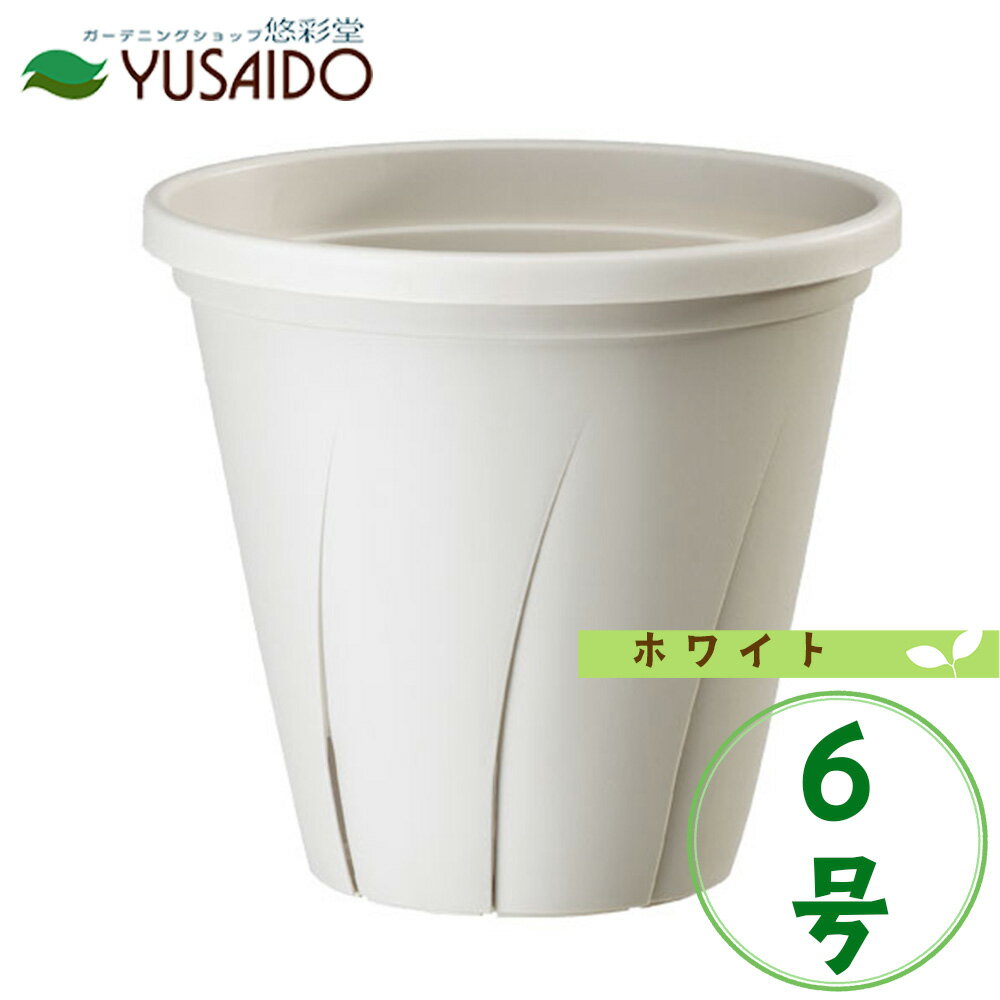 ڥݥ5ܡ¥ץ饹å Ϥȭ 6 ۥ磻 åȭȭ ¤ ڤ  ʡ꡼ ݥå   ץ ̳ Х ¿ʪ տʪ ǥ˥ 