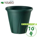 大和プラスチック 根はり鉢 10号 ダークグリーン スリット鉢 スリット 鉢 植木鉢 構造 切れ目 育苗 ナーセリー ポット 根が育つ 栽培用 プロ用 業務用 ...