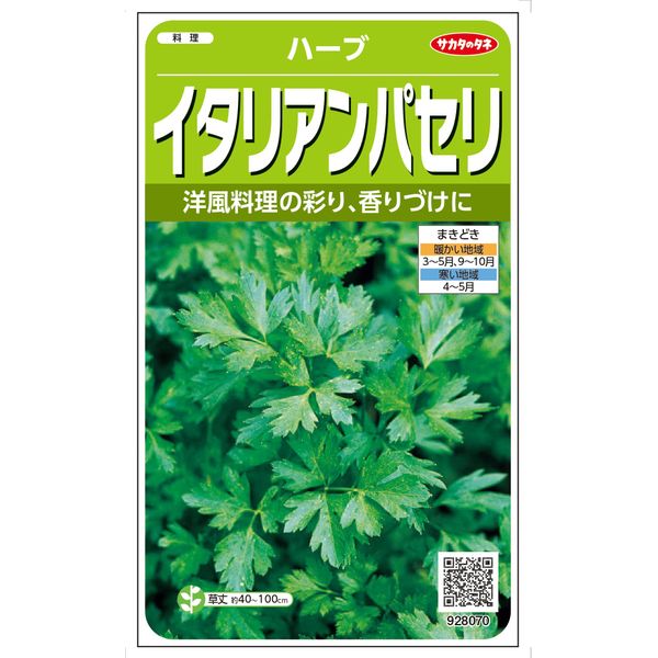 【＠サカタのタネ 美咲ハーブ8070 イタリアンパセリ】洋風料理の彩り、香りづけに使えるキッチンハーブ。苦味が少なく、爽やかな香りが幅広いお料理に合う、初心者でも使いやすいハーブ。ハーブ 葉 種 タネ まき プランター 鉢 地植え 畑 花壇 料理