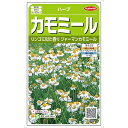 【＠サカタのタネ 美咲ハーブ8071 ジャーマンカモミール】青リンゴに似た爽やかな香りをティーで楽しむのがおすすめ！和名でカミツレと呼ばれ、心身をリラックスさせるハーブの代表格。ハーブ 香草 葉 種 タネ まき プランター 鉢 地植え 畑 花壇 ハーブティー 花