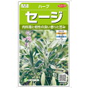 【＠サカタのタネ 美咲ハーブ8075 セージ】殺菌効果や香りづけにソーセージなどに用いられるキッチンハーブ。爽やかな芳香と苦みが特徴で料理の他お茶やポプリなど多用途に使える香草です。ハーブ 葉 種 タネ まき プランター 鉢 地植え 畑 花壇 ハーブティー 料理