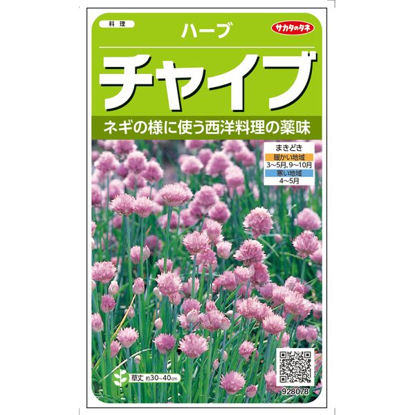 【＠サカタのタネ 美咲ハーブ8078 チャイブ】ネギのように使う西洋料理の薬味。夏野菜のコンパニオンプランツとしても。ハーブ 香草 料理 サラダ マリネ 種 タネ たね プランター 鉢植え