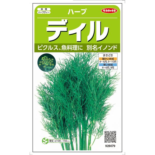 【＠サカタのタネ 美咲ハーブ8079 ディル】サラダや肉料理に使用する 北欧やヨーロッパでメジャーなハーブ マリネ ピクルス 洋風寿司 ドレッシングなどに利用できます ハーブ 香草 料理 サラダ…