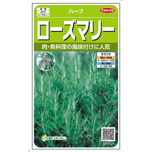 【＠サカタのタネ 美咲ハーブ8088 ローズマリー】すっきりとした森の香りでアロマテラピー。肉料理の香り付けに用いられるベーシックなハーブです。ハーブ 香草 種 たね タネ プランター 鉢植え 花壇 立性 青花 アロマ ハーブティー ポプリ