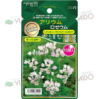 アリウムの通販 価格比較 Tira