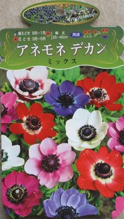 アネモネ デカン 球根 ミックス