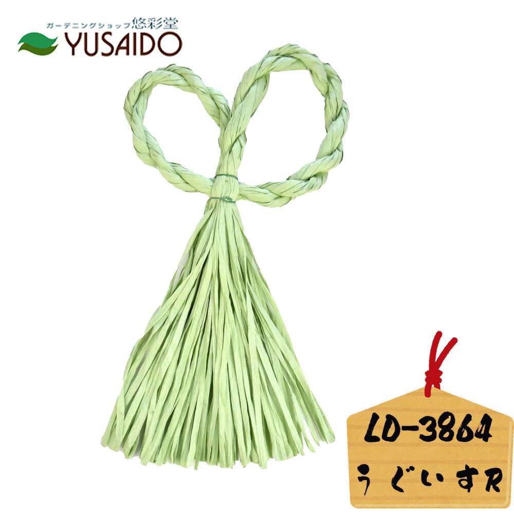 ♪ リード商事 ペーパーリースベース LD-3864 R形 うぐいす 黄緑色玄関飾り 正月飾り しめ飾り リース 紙リース しめ縄 ハンドメイド 手芸 新年 縁起 縁起物 モダン レトロ 土台 ベース 和風 手作り オリジナル インテリア 丸形 新春 迎春